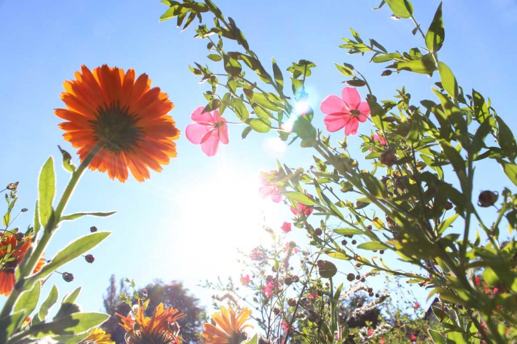 Wie lange nicht in die Sonne nach einer Hyaluronbehandlung?